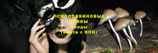 шишки Бородино