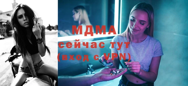 шишки Бородино