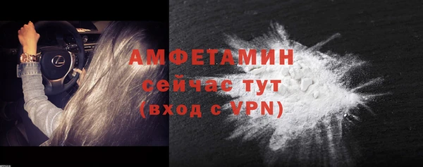 шишки Бородино