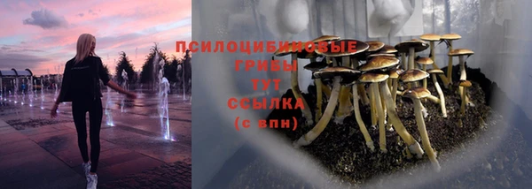 гидропоника Архангельск