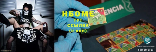 шишки Бородино