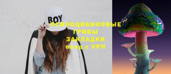 стаф Бронницы