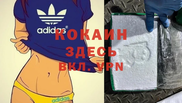 стаф Бронницы
