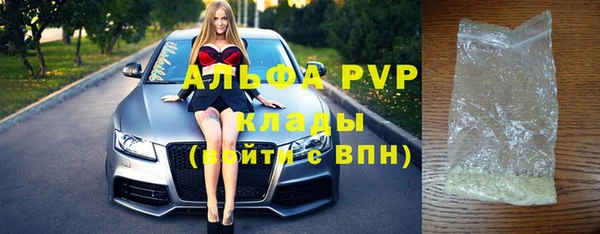 PSILOCYBIN Верхний Тагил