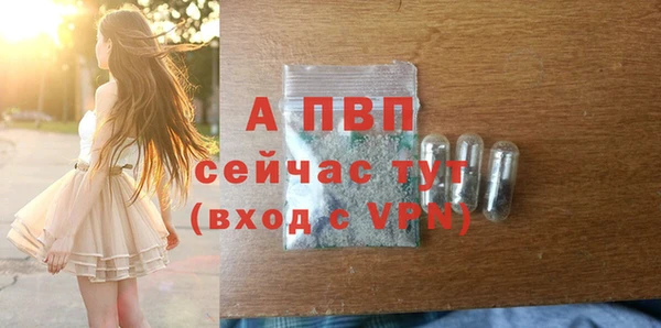 шишки Бородино