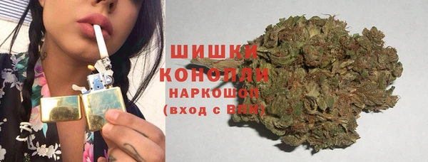 шишки Бородино