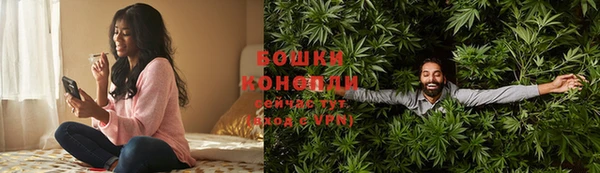 шишки Бородино